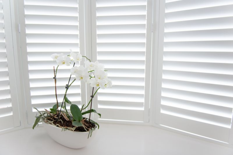 Window Shutter Installation in Olathe, KS